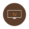 televisión